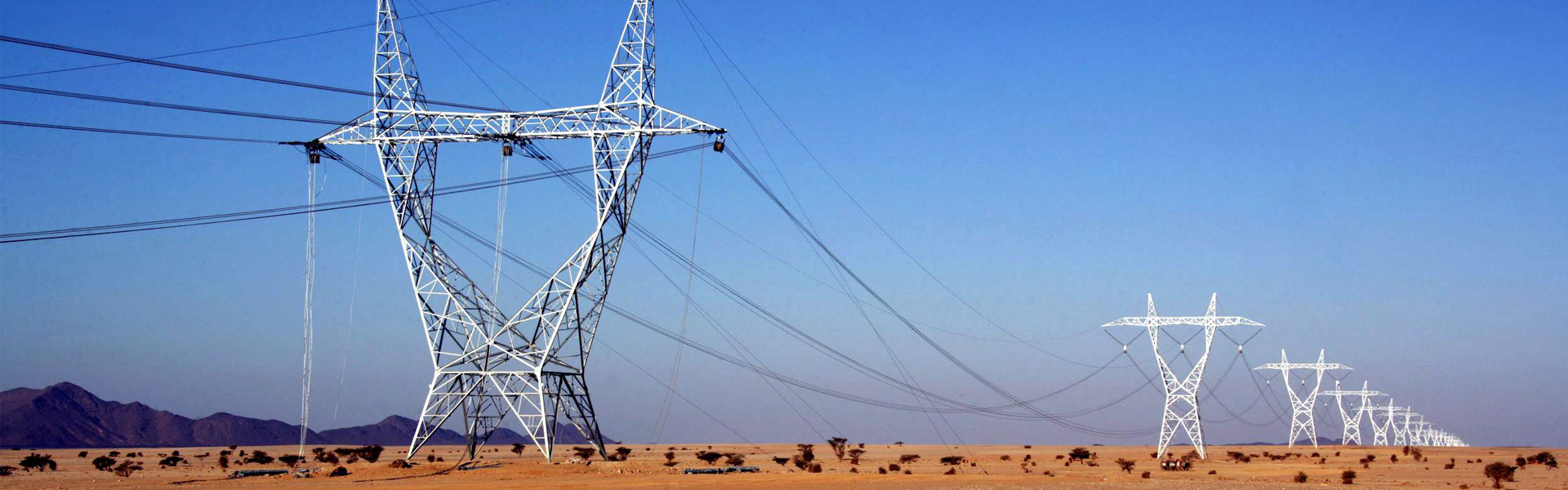 ��ʨ�����-�������